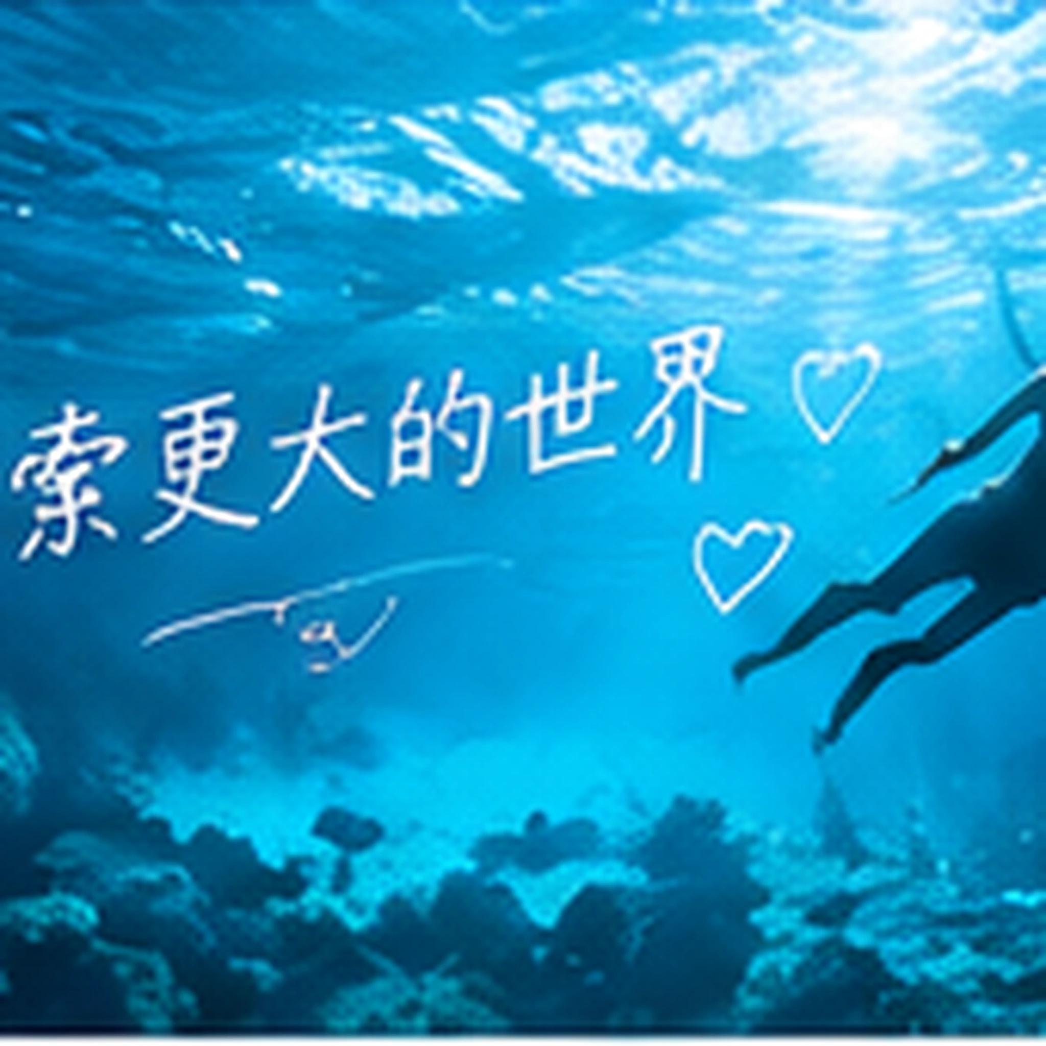 内容分类 · 生活影像
